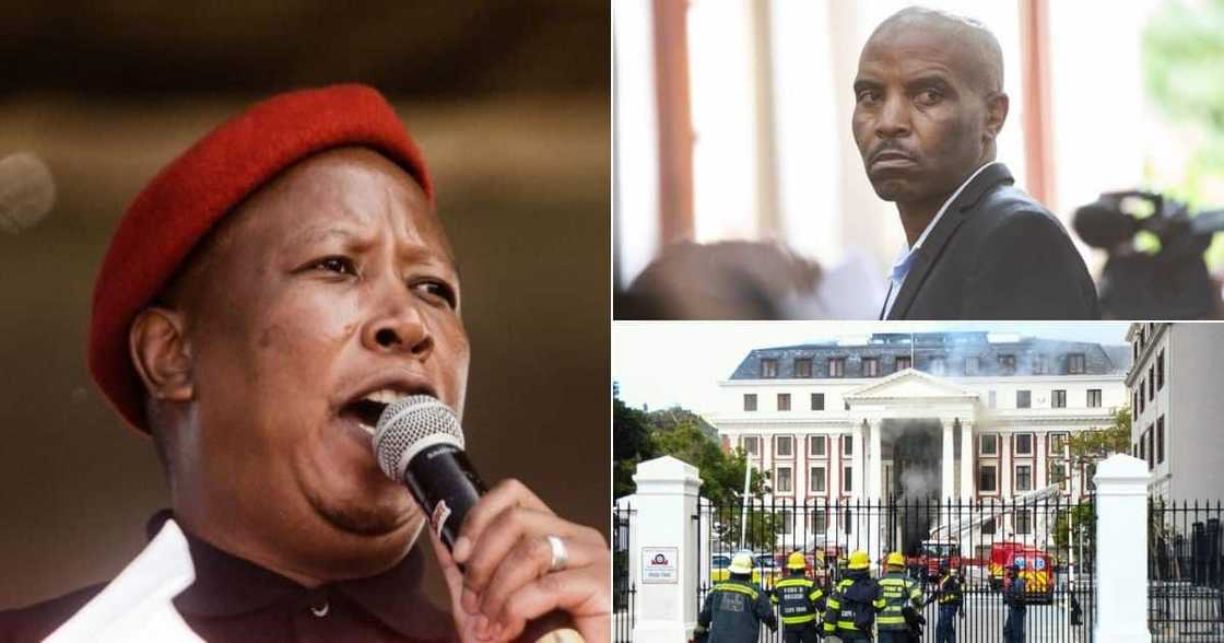 Zandile Mafe, Parliament, Parliament fire, Julius Malema, Baby Tyawa, Economic Freedom Fighters, EFF