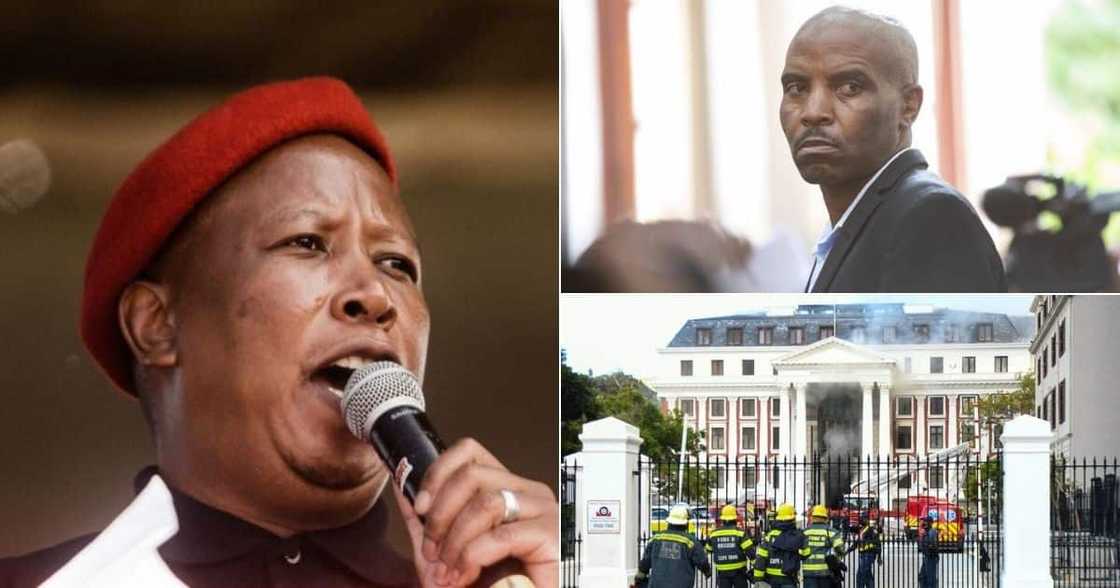 Zandile Mafe, Parliament, Parliament fire, Julius Malema, Baby Tyawa, Economic Freedom Fighters, EFF Zandile Mafe, Parliament, Parliament fire, Julius Malema, Baby Tyawa, Economic Freedom Fighters, EFF