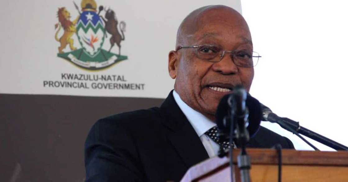 FF Plus, DA, UDM, Jacob Zuma, sanctions, legal experts FF Plus, DA, UDM, Jacob Zuma, sanctions, legal experts