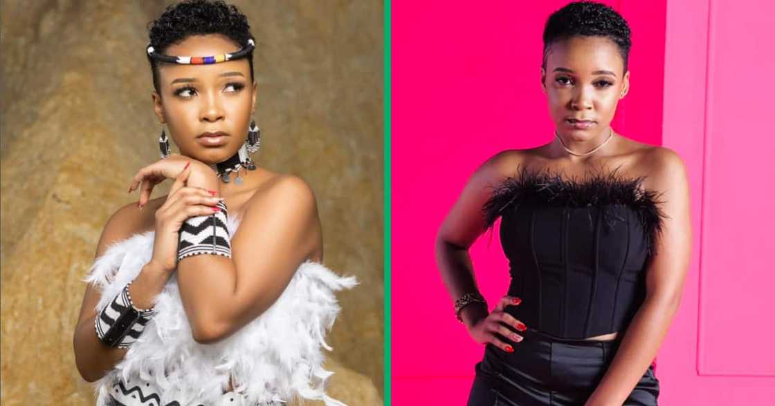 Paige recently purchased a Haval luxury SUV Paige recently purchased a Haval luxury SUV