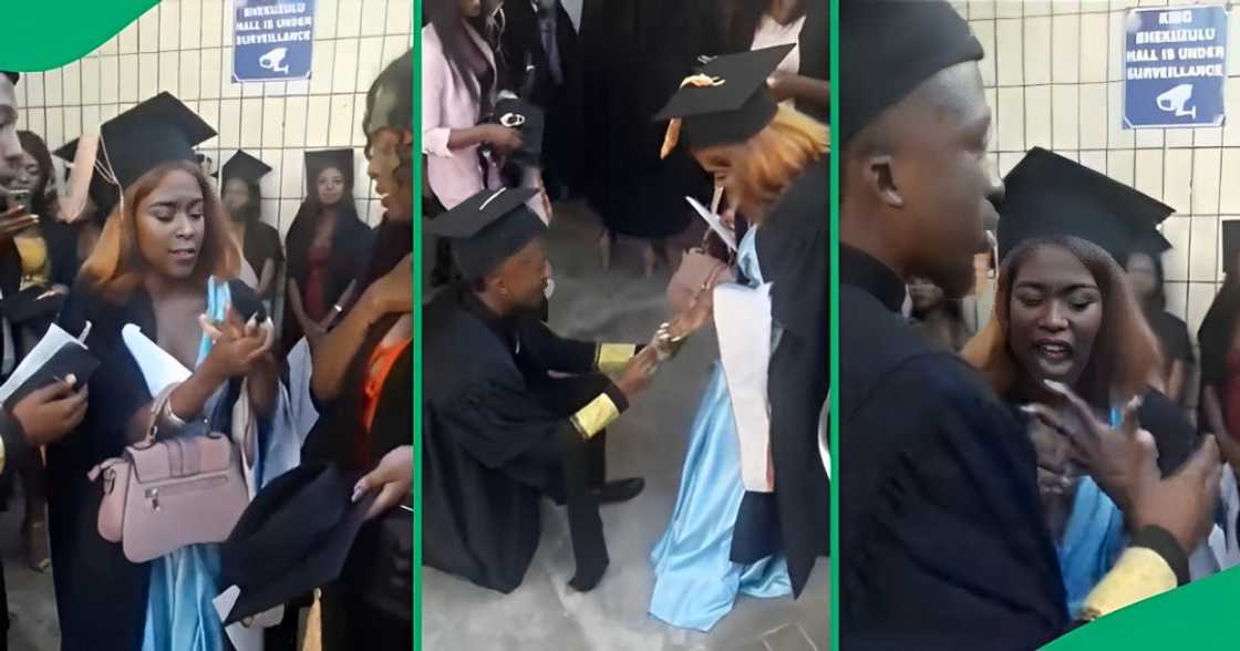 Dramatic proposal floors Mzansi