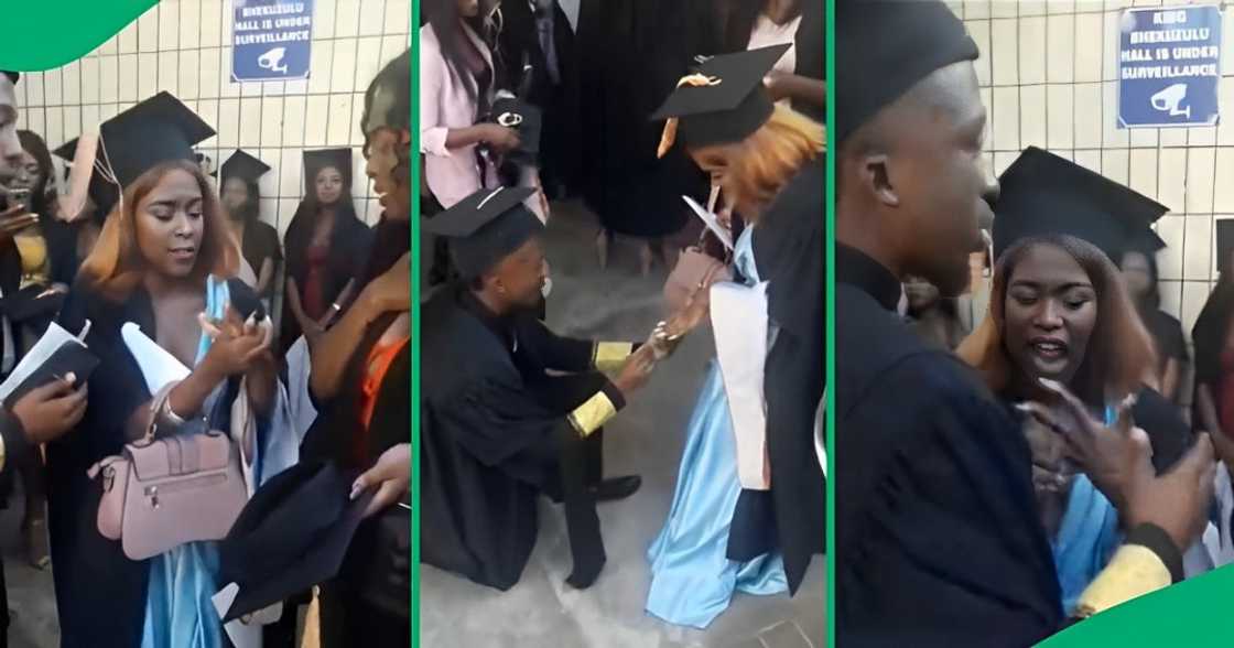 Dramatic proposal floors Mzansi Dramatic proposal floors Mzansi