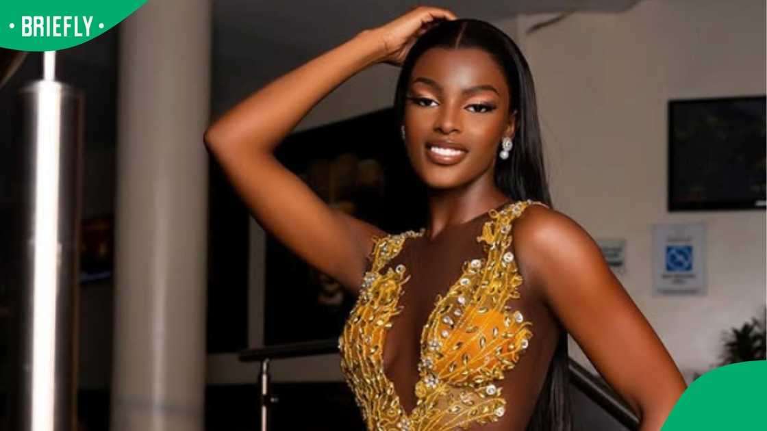 Nigerians are allegedly outraged that Chidimma Adetshina is fighting to stay in South Africa