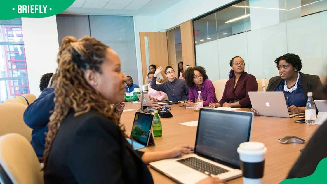 What is BEE? What is BEE?