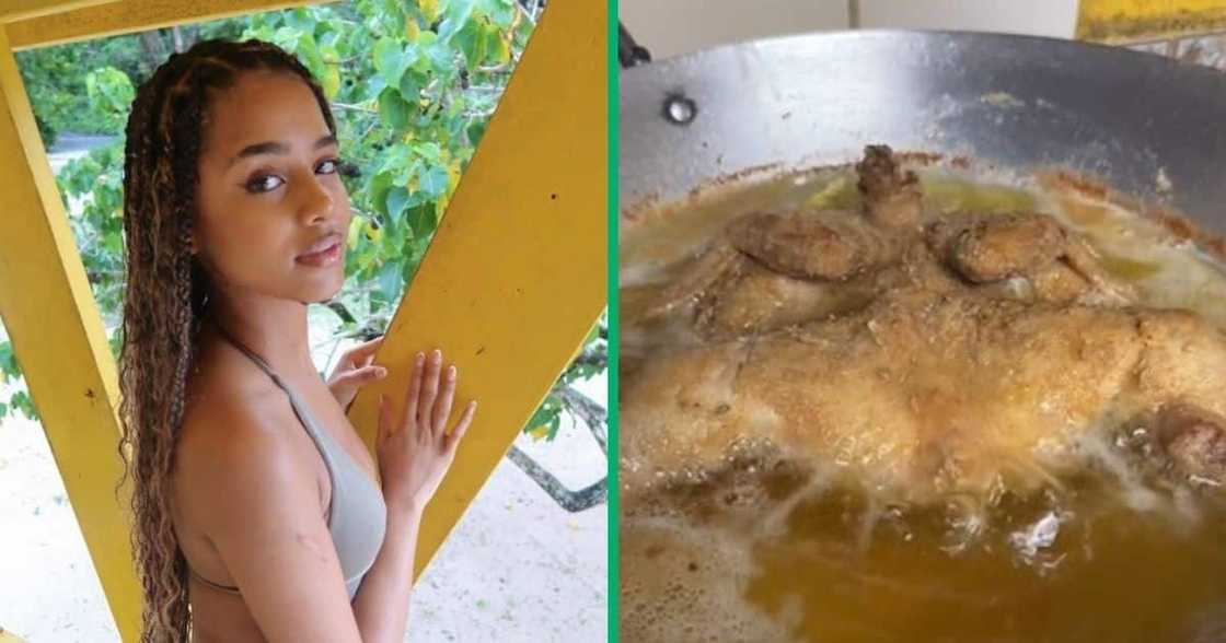 TikTok video shows chicken dancing Tyla TikTok video shows chicken dancing Tyla