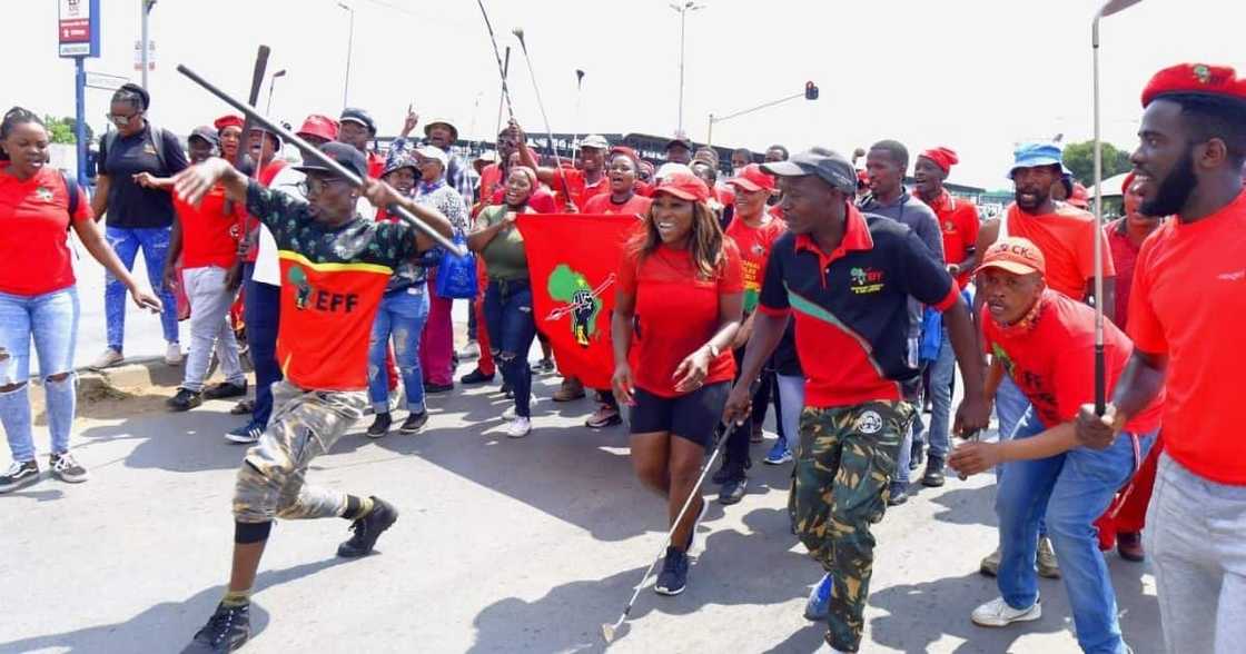 EFF, Dobonsville police station, charges, Nhlanhla Lux, assault, Operation Dudula, drug dealer