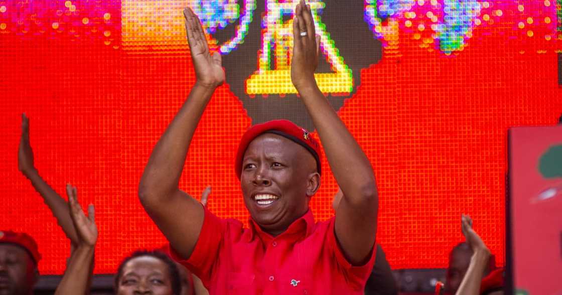 EFF's Julius Malema, Free State, occupy land, municipal elections, local government elections EFF's Julius Malema, Free State, occupy land, municipal elections, local government elections