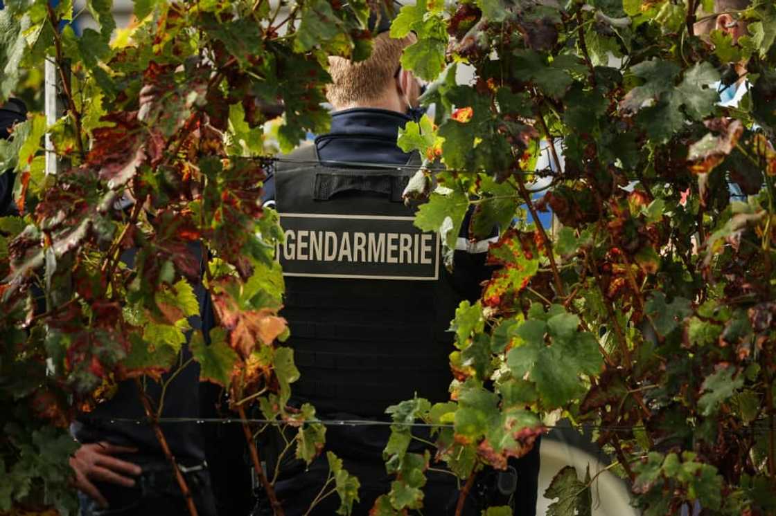 Bordeaux wines have become a major target of thieves and traffickers, who seek to profit off its worldwide recognition. Bordeaux wines have become a major target of thieves and traffickers, who seek to profit off its worldwide recognition.