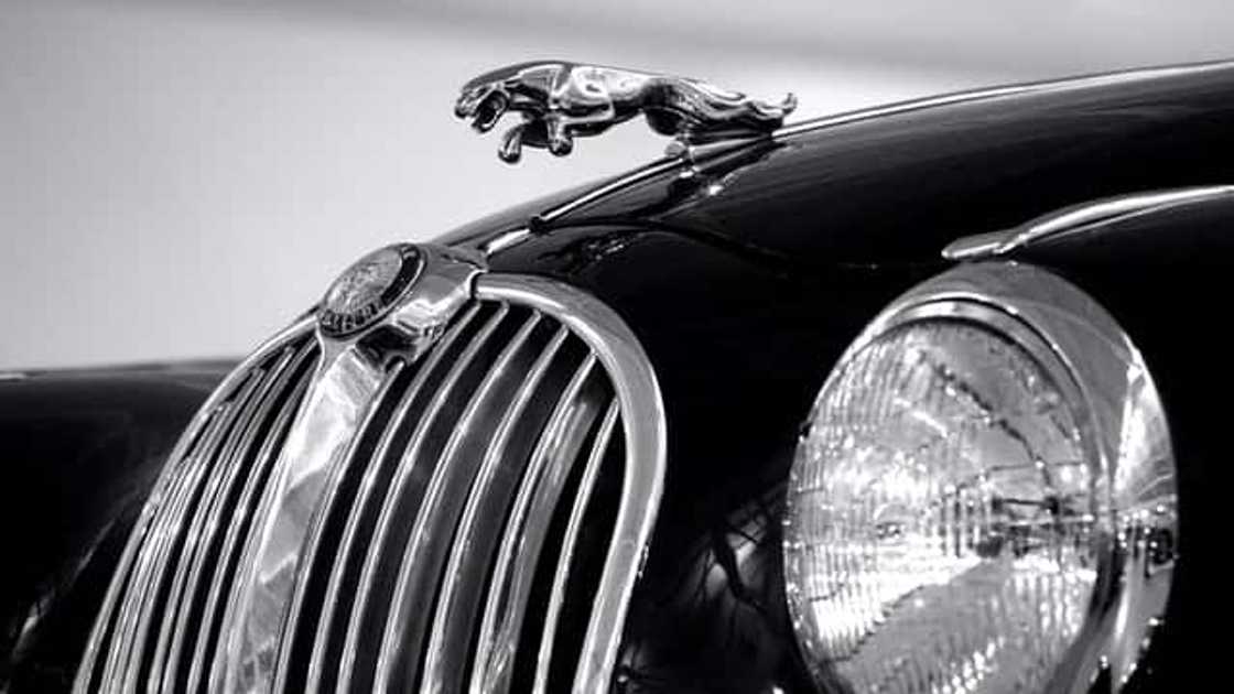 sports car manufacturers sports car manufacturers
