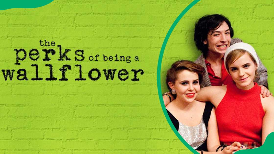 movies like The Perks of Being a Wallflower capture the raw emotions of youth. movies like The Perks of Being a Wallflower capture the raw emotions of youth.