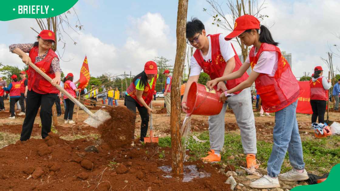 Group activity ideas for adults Group activity ideas for adults