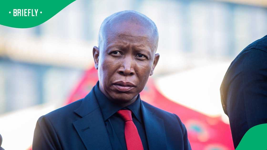 Economic Freedom Fighters President Julius Malema was found guilty of discharging a firearm in 2018