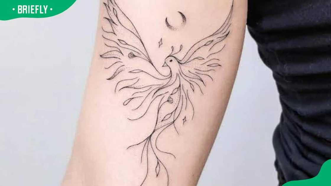 Fine line phoenix tattoo