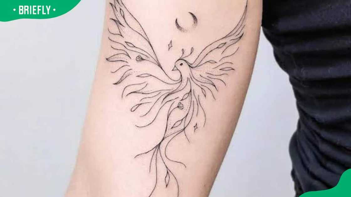 Fine line phoenix tattoo Fine line phoenix tattoo