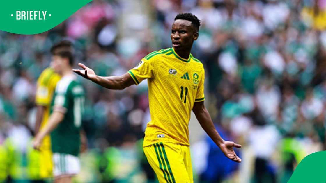 Bafana Bafana, South Africa, Themba Zwane, FIFA World Cup