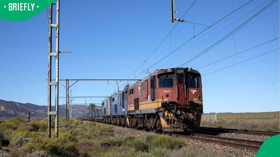 South Africans have long called for the country's railways to be restored