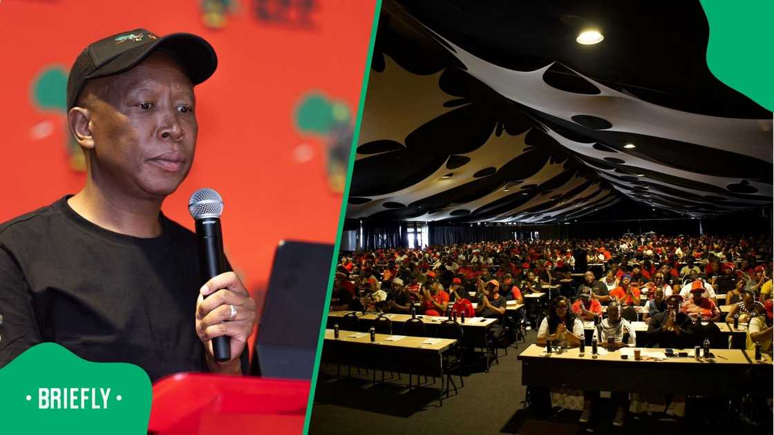 Julius Malema addressed his court case at the Economic Freedom Fighters' National People's Assembly