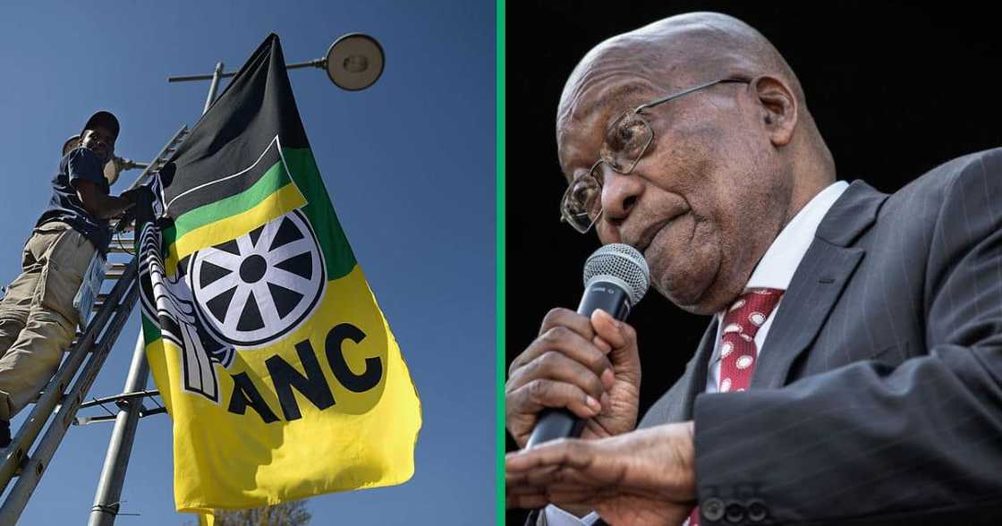 The ANCYL president compared the MK party to a cult The ANCYL president compared the MK party to a cult