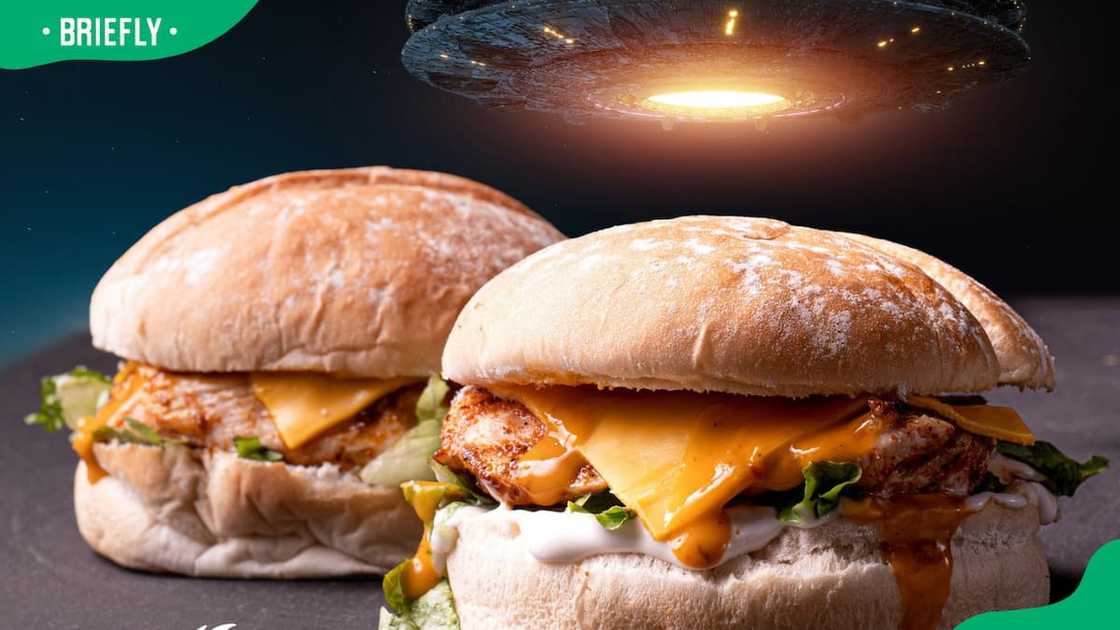 Honcho Burgers Honcho Burgers