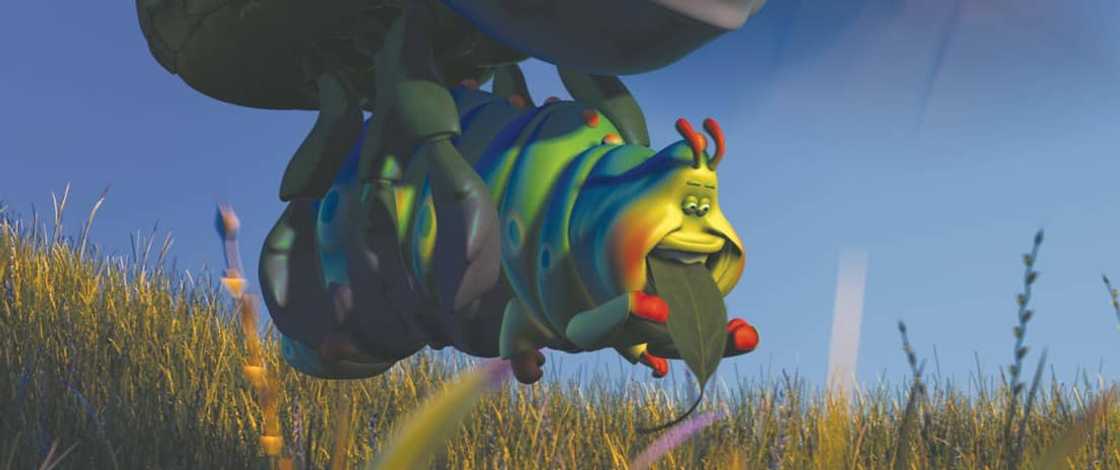 Heimlich flying