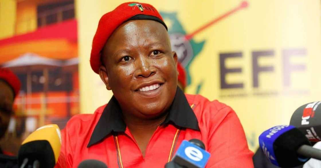 EFF, EFF Presser, politics, ANC, South African politics EFF, EFF Presser, politics, ANC, South African politics