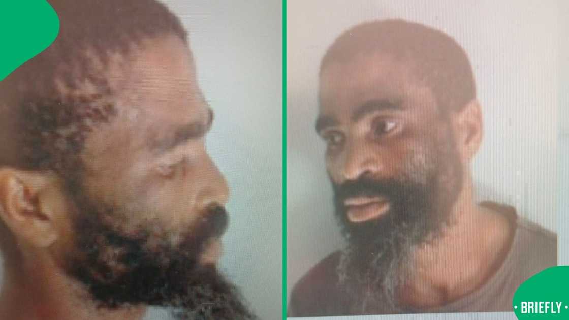 A manhunt has been launched for Tiger. A manhunt has been launched for Tiger.