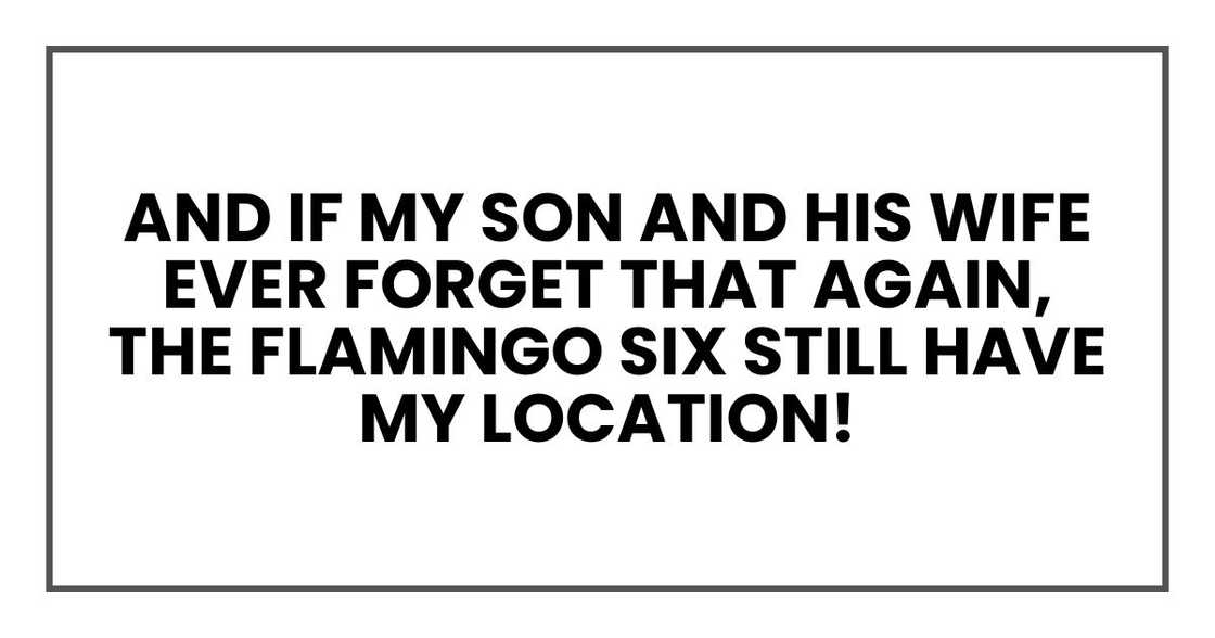 And if my son and his wife ever forget that again, the Flamingo Six still have my location!