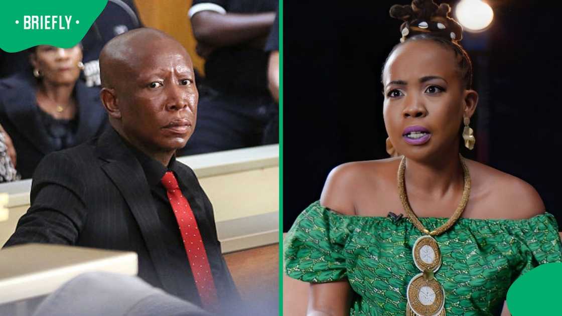 Ntsiki Mazwai defended Julius Malema.