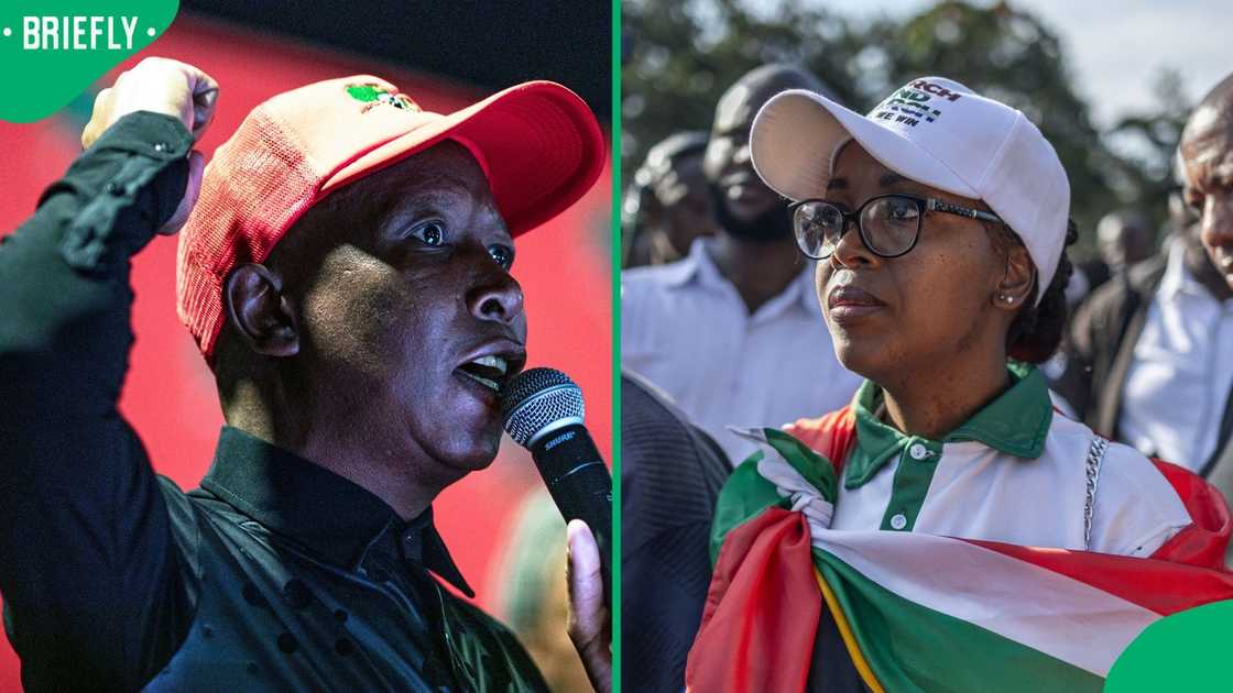 Jacinta Ngobese rejected Julius Malema’s call to document undocumented migrants Jacinta Ngobese rejected Julius Malema’s call to document undocumented migrants