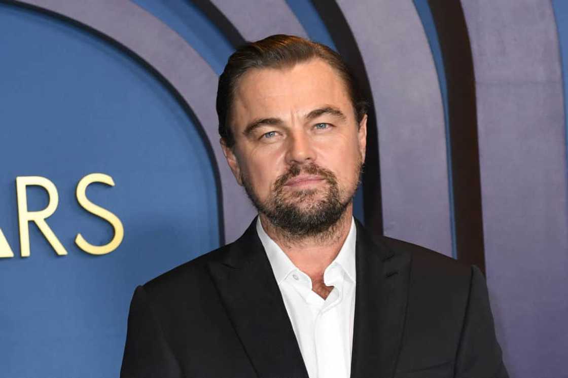 Leonardo DiCaprio, the American blonde actor Leonardo DiCaprio, the American blonde actor