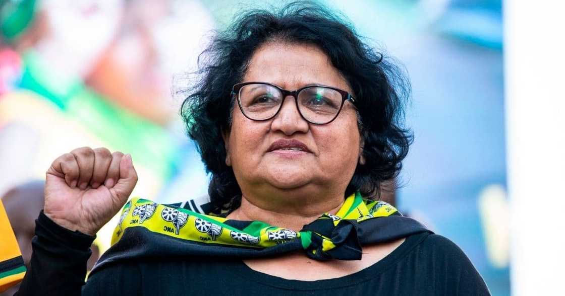 ANC, DA, SAHRC, Jessie Duarte, Phoenix posters ANC, DA, SAHRC, Jessie Duarte, Phoenix posters