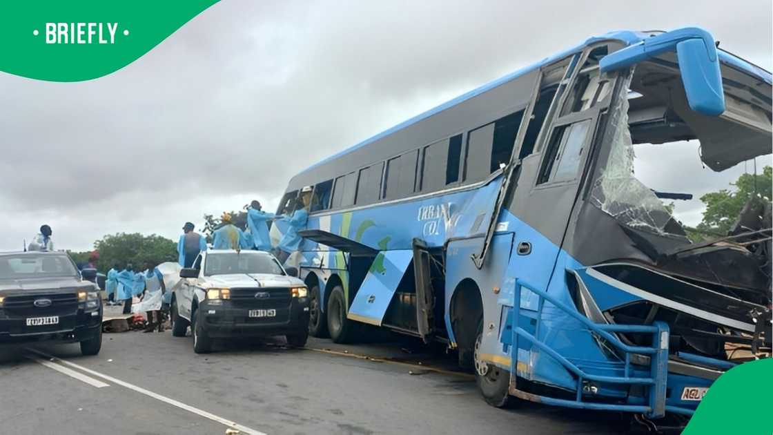 24 people were killed when a bus and a truck collide in Zimbabwe. 24 people were killed when a bus and a truck collide in Zimbabwe.