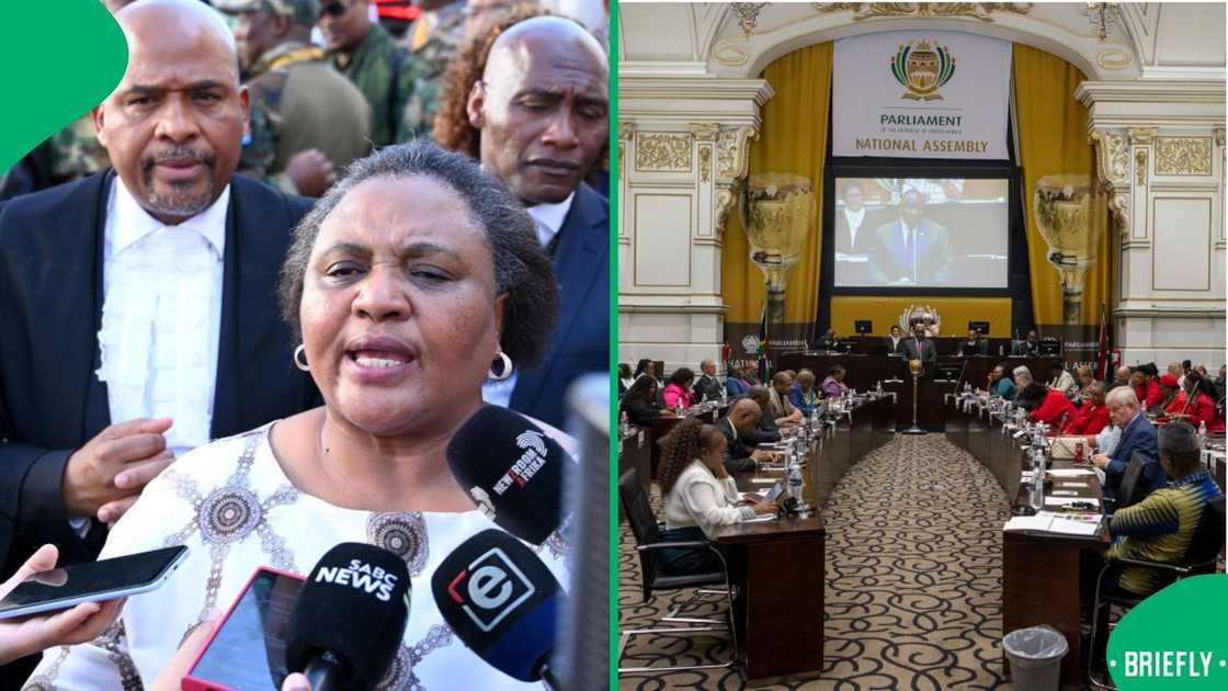 The Speaker of Parliament, Thoko Didiza, directed three committees to probe General Nhlanhla Mkhwanazi's allegations