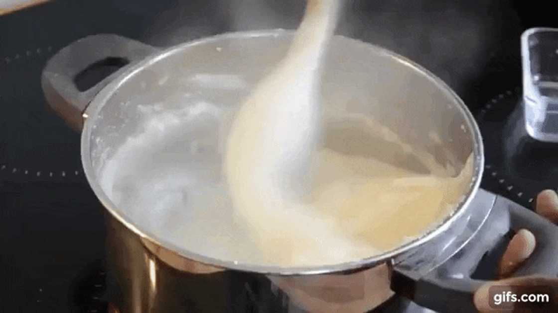 is cornmeal the same as maize meal? is cornmeal the same as maize meal?