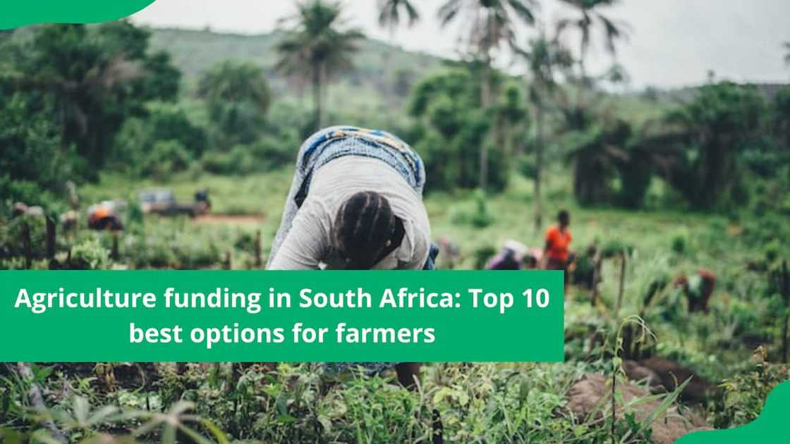 farming funding in south africa farming funding in south africa