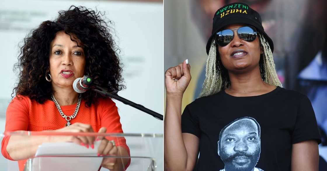 Video clip, Lindiwe Sisulu, praising the Constitution, Duduzile Zuma-Sambudla, backs the tourism minister, Twitter Video clip, Lindiwe Sisulu, praising the Constitution, Duduzile Zuma-Sambudla, backs the tourism minister, Twitter