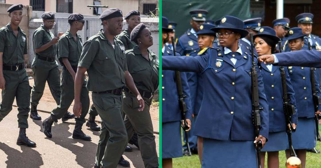 Political parties said the Gauteng Crime Prevention Wardens weren't enough to fight crime. Political parties said the Gauteng Crime Prevention Wardens weren't enough to fight crime.