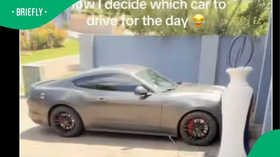 A clip went viral on Instagram.