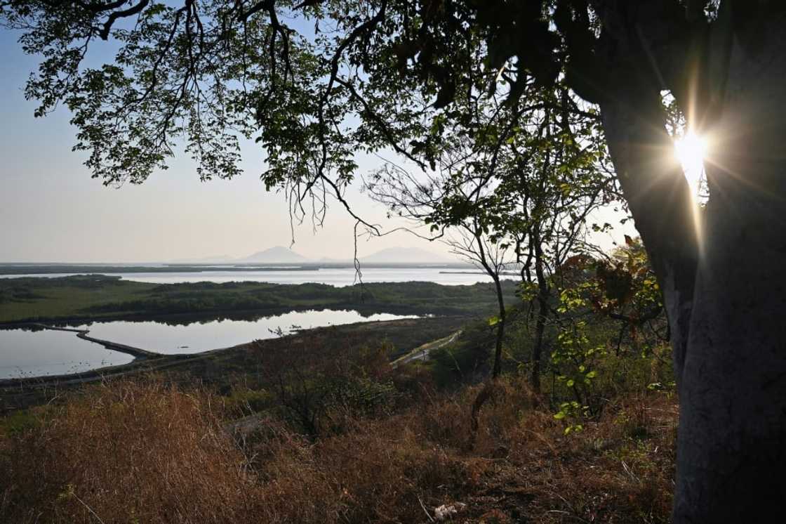 The shrimp farming industry in Honduras is largely centered along the Gulf of Fonseca on its Pacific coast