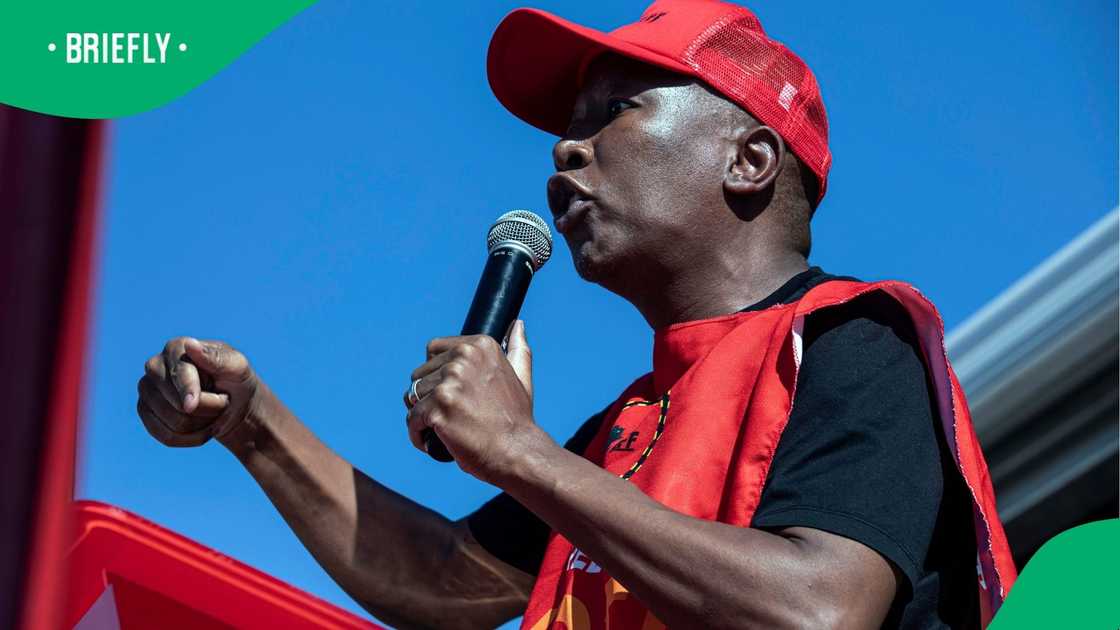 Julius Malema has vowed to get justice for CweCwe