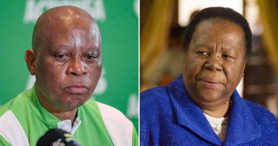 Herman Mashaba body shames Naledi Pandor Herman Mashaba body shames Naledi Pandor