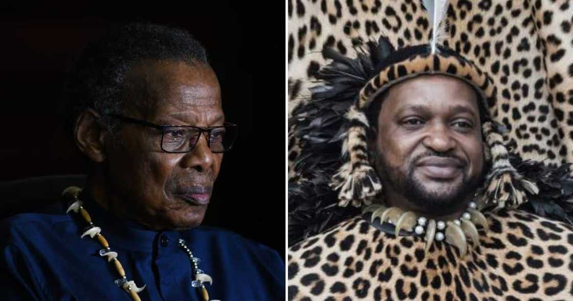 Prince Mangosuthu Buthelezi & Prince Misuzulu Prince Mangosuthu Buthelezi & Prince Misuzulu