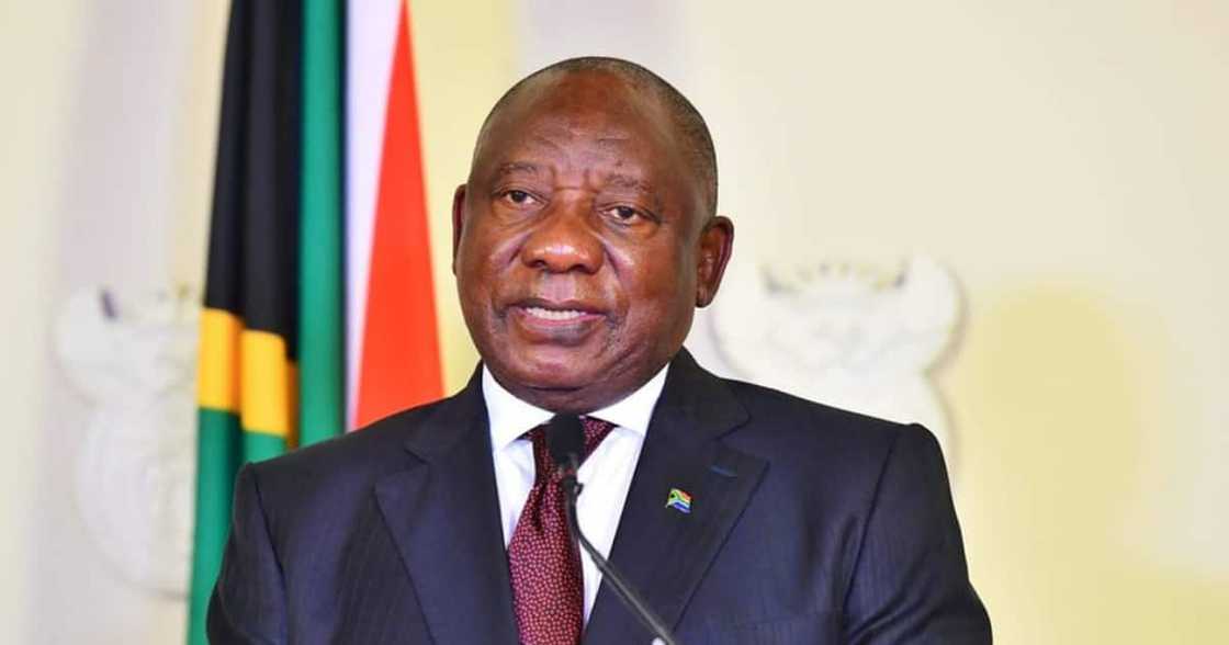 South Africa, Russia, Ukraine, Vladimir Putin, Cyril Ramaphosa, Volodymyr Zelensky South Africa, Russia, Ukraine, Vladimir Putin, Cyril Ramaphosa, Volodymyr Zelensky