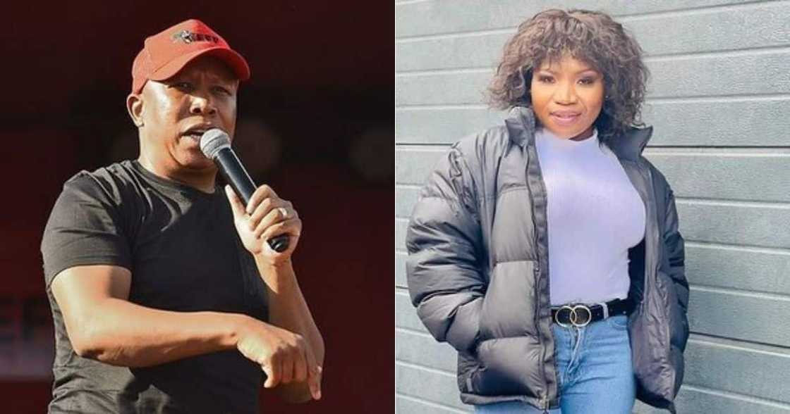 EFF leader, Julius Malema, defends Makhadzi, ANC support EFF leader, Julius Malema, defends Makhadzi, ANC support