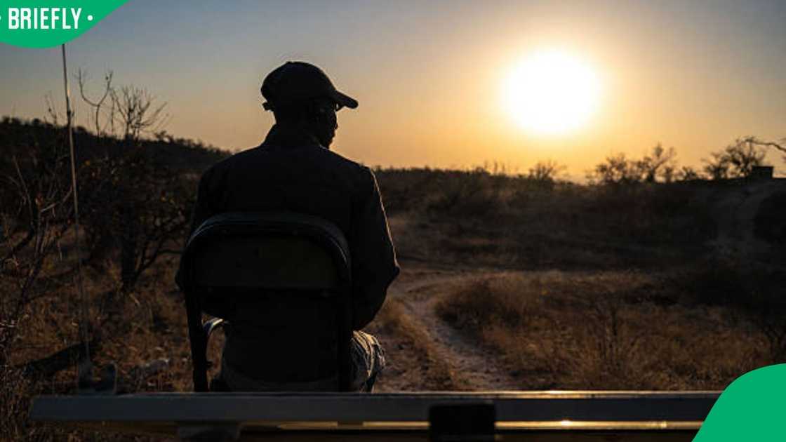 Kruger National Park