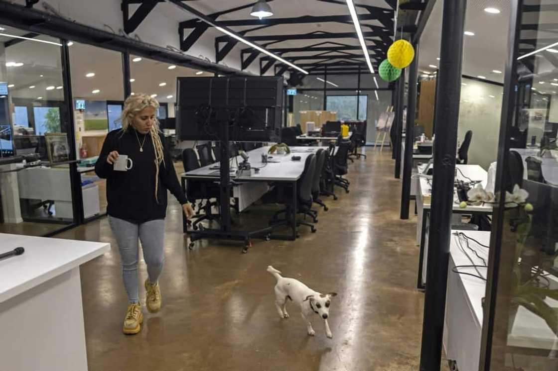 The barn's original roof and metal bars remain, but glass partitions serve as office divisions in the former stables The barn's original roof and metal bars remain, but glass partitions serve as office divisions in the former stables
