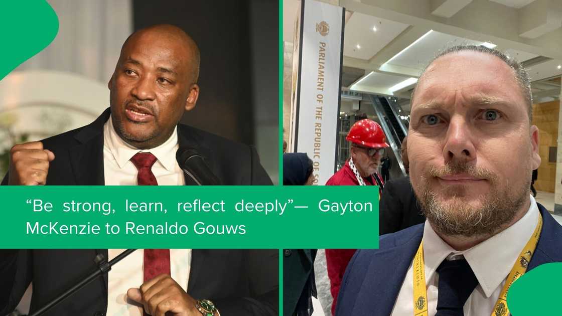 Gayton McKenzie accepted Renaldo Gouws's apology