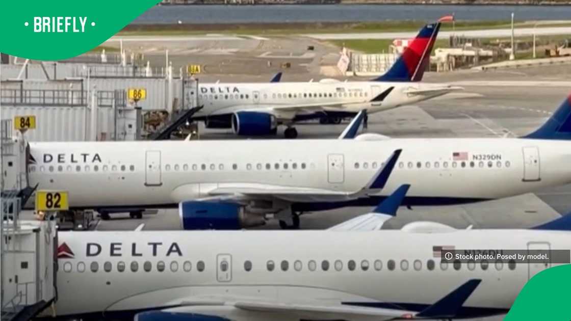 A crew member reported feeling a big bang after a plane was struck with a firework while landing in Chicago A crew member reported feeling a big bang after a plane was struck with a firework while landing in Chicago