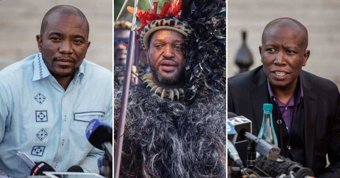 One SA’s Mmusi Maimane, leader of the EFF Julius Malema One SA’s Mmusi Maimane, leader of the EFF Julius Malema
