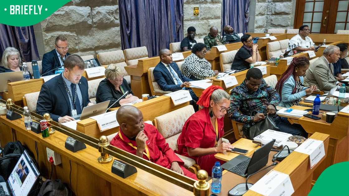 The Parliamentarians are eager to question Vusimuzi ‘Cat’ Matlala